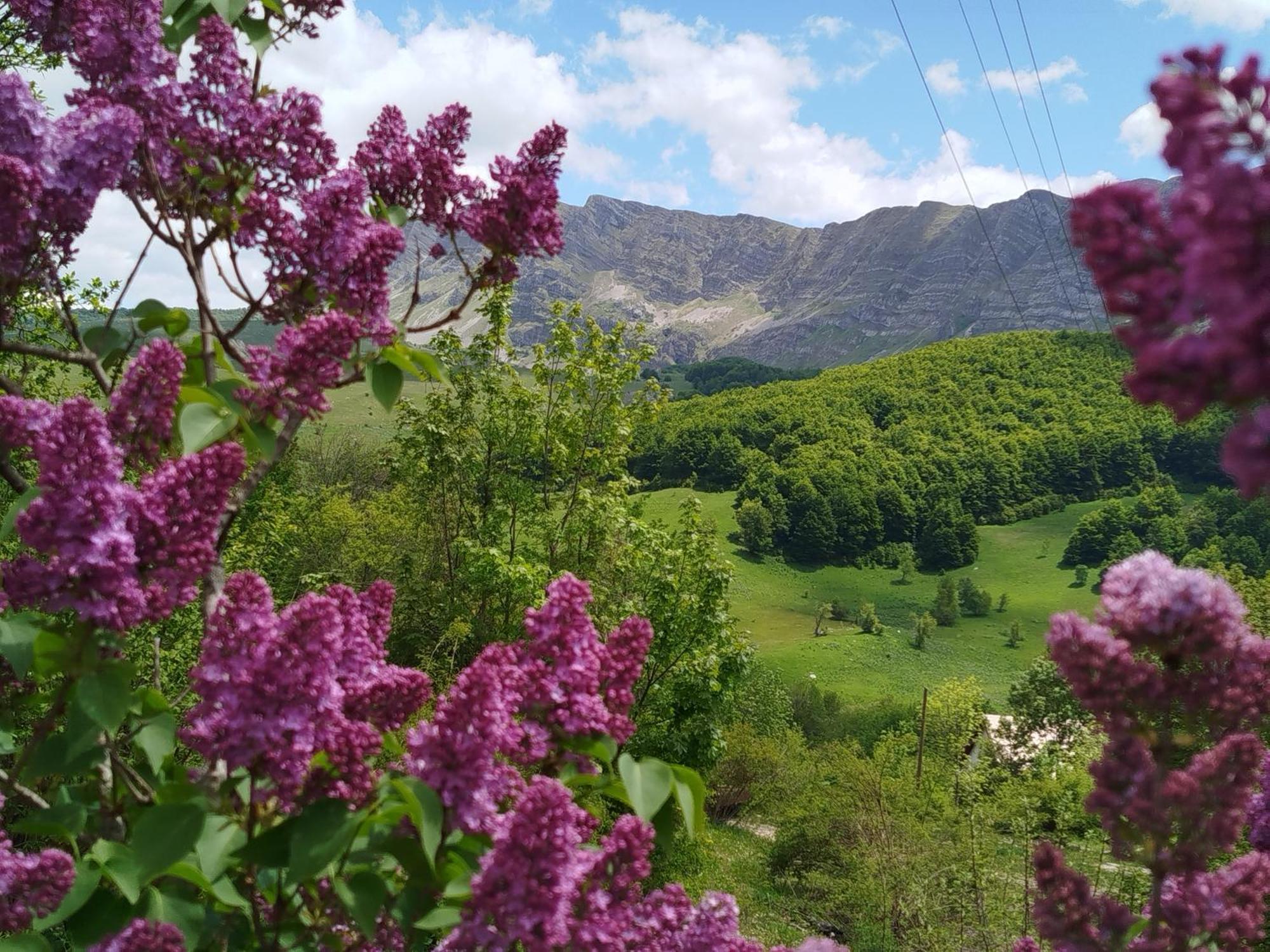 Cemerno Cottage Gacko ภายนอก รูปภาพ